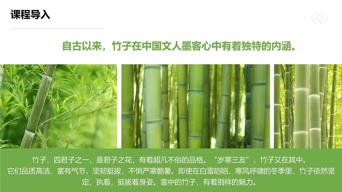 学前教育大班《雪中翠竹》课件第5页