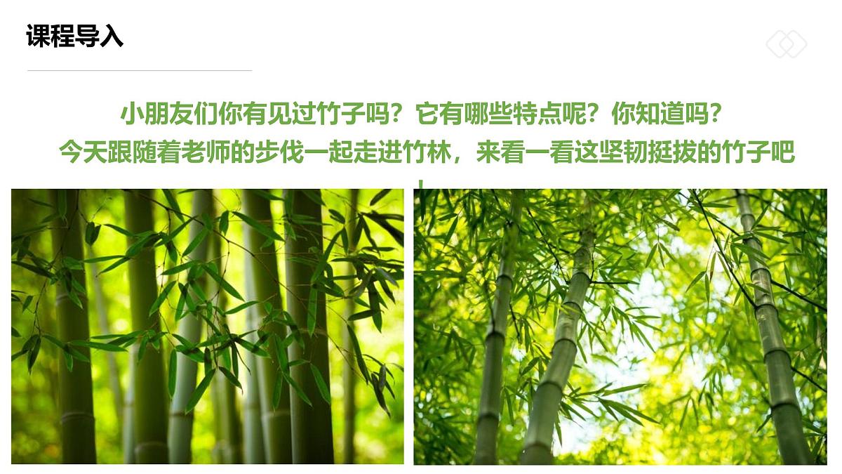 学前教育大班《雪中翠竹》课件第6页