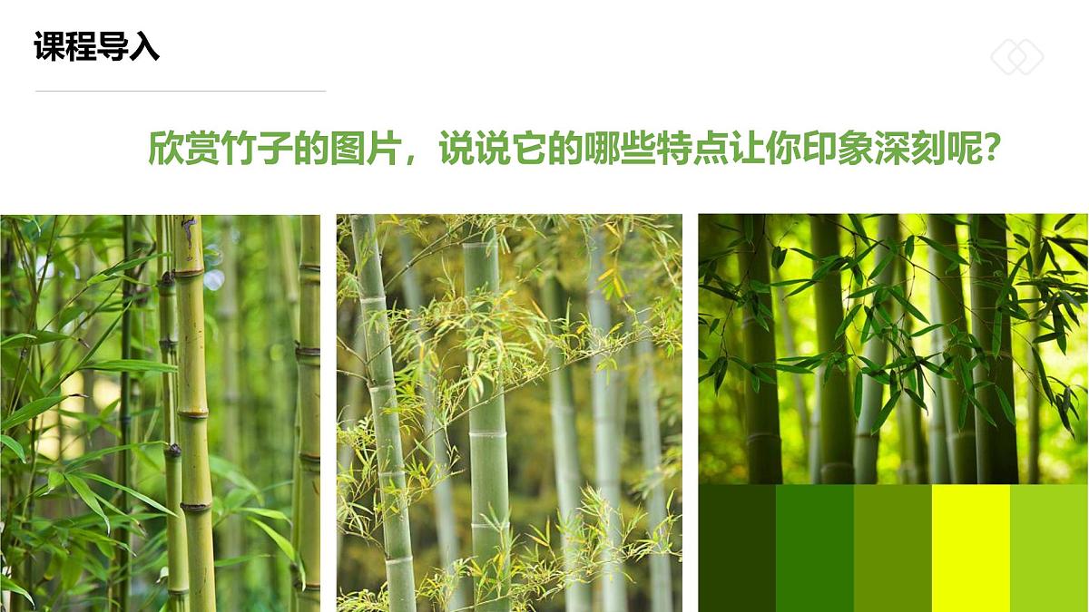 学前教育大班《雪中翠竹》课件第7页