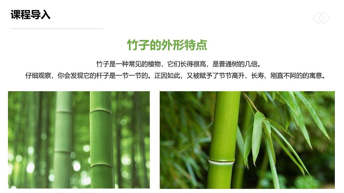 学前教育大班《雪中翠竹》课件第8页