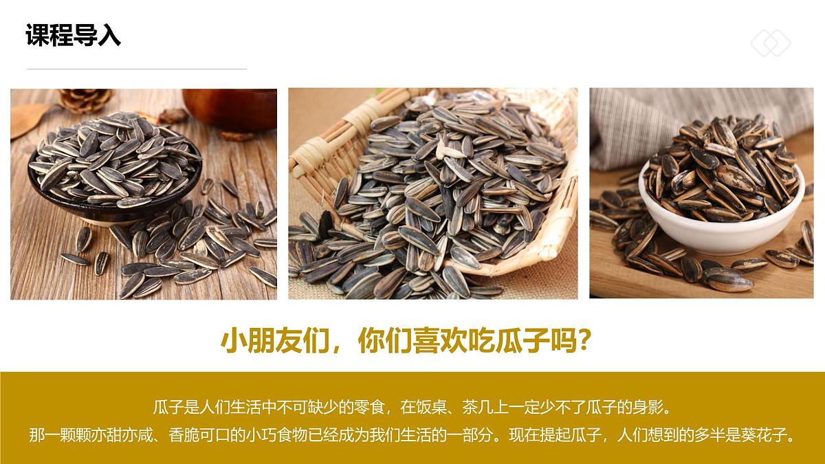 学前教育大班《一袋葵花籽》课件第6页