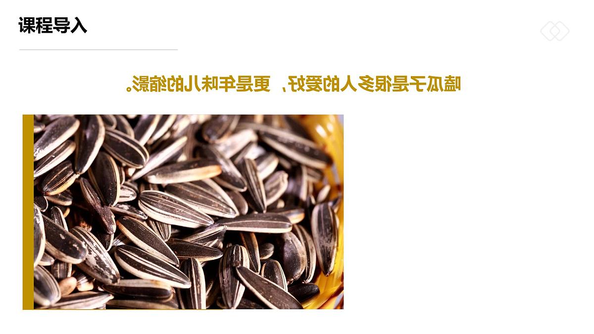 学前教育大班《一袋葵花籽》课件第7页