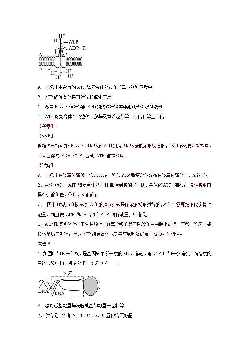 浙江省2022年1月普通高校招生选考科目考试仿真模拟生物试题A含解析03