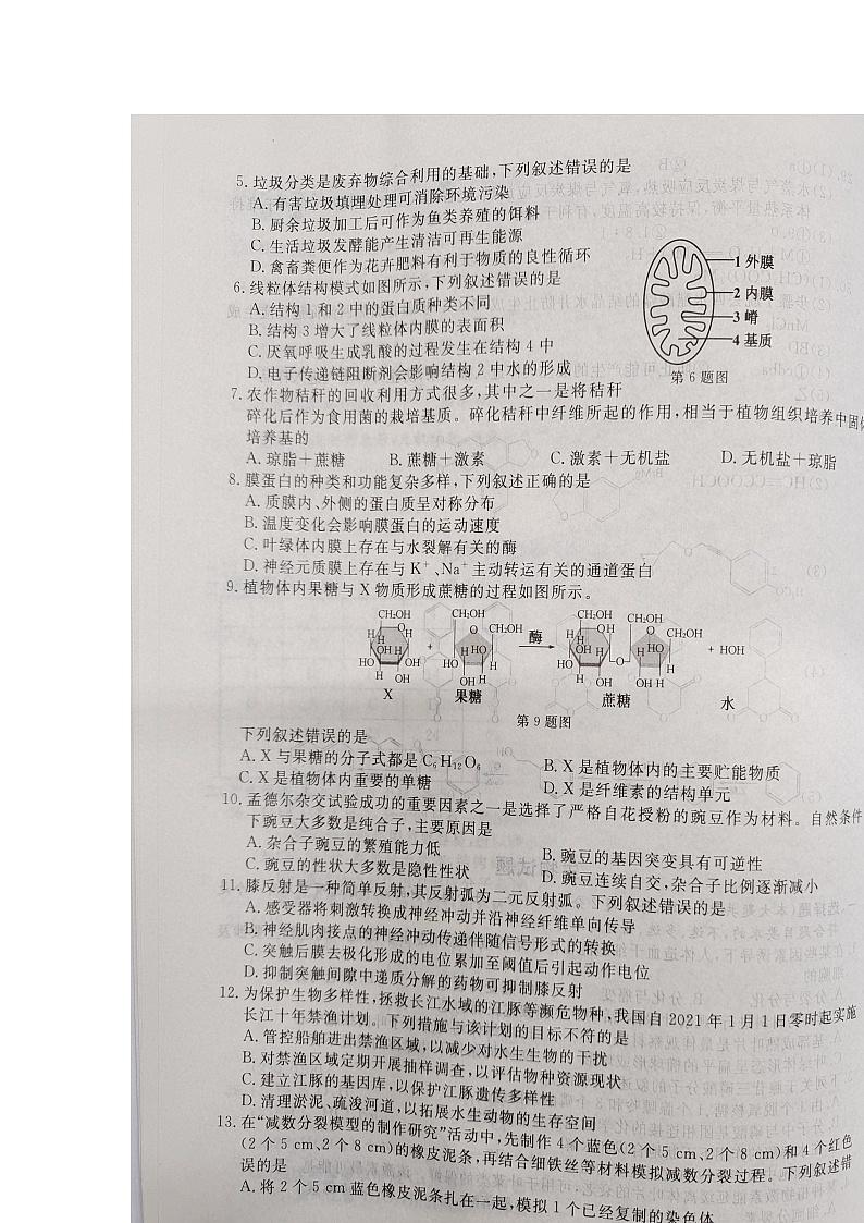 浙江省普通高校招生2022年1月选考科目考试生物试题扫描版含答案02