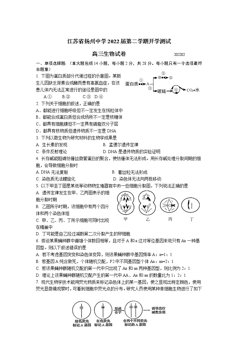 江苏省扬州中学2021-2022学年高三下学期开学考试生物无答案第1页