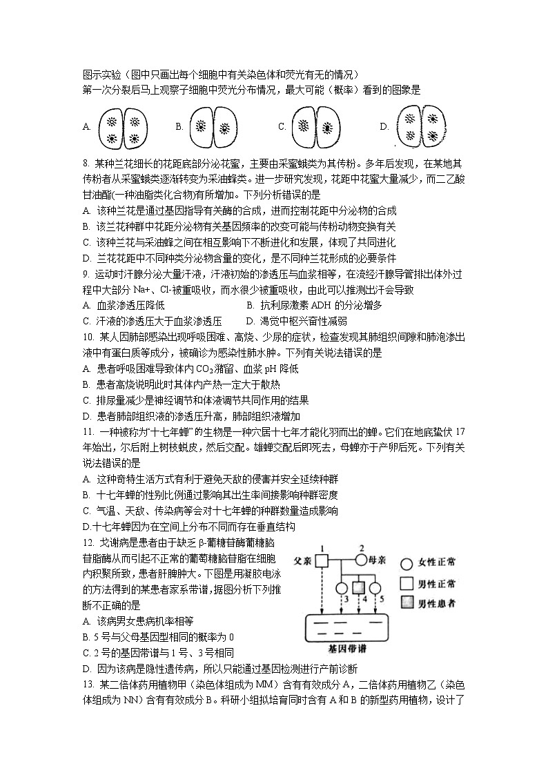 江苏省扬州中学2021-2022学年高三下学期开学考试生物无答案第2页