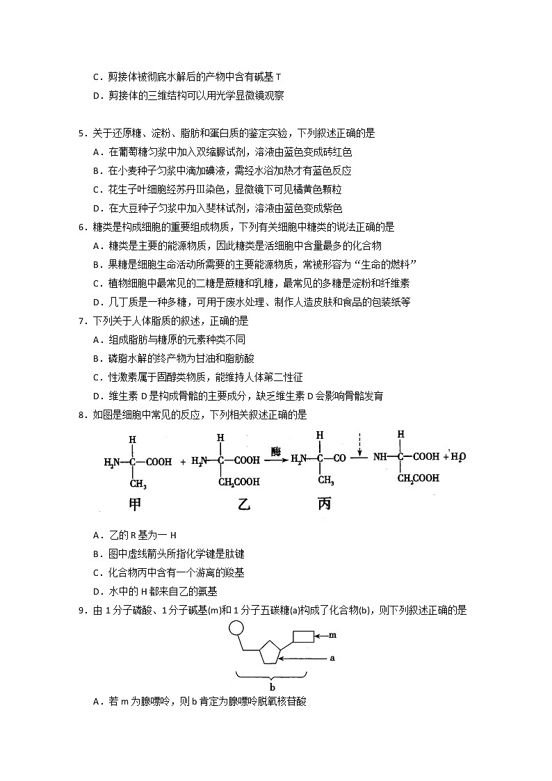 山西省运城市芮城中学2021-2022学年高一下学期开学摸底考试生物试题无答案02