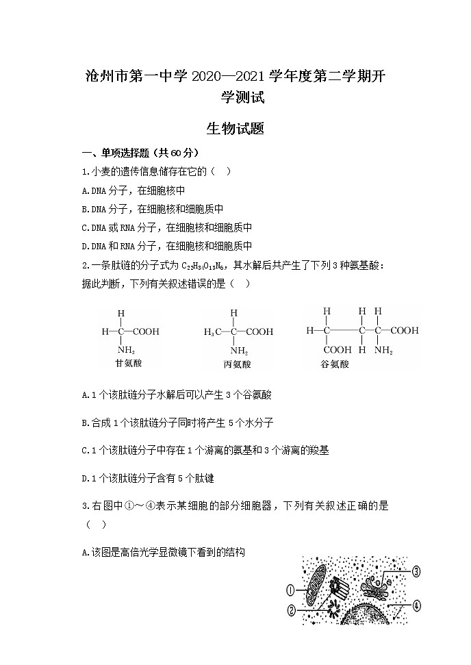 2021沧州一中高一下学期开学考试生物试题含答案第1页