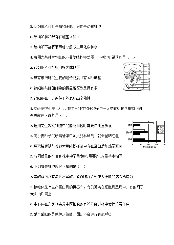 2021沧州一中高一下学期开学考试生物试题含答案第2页