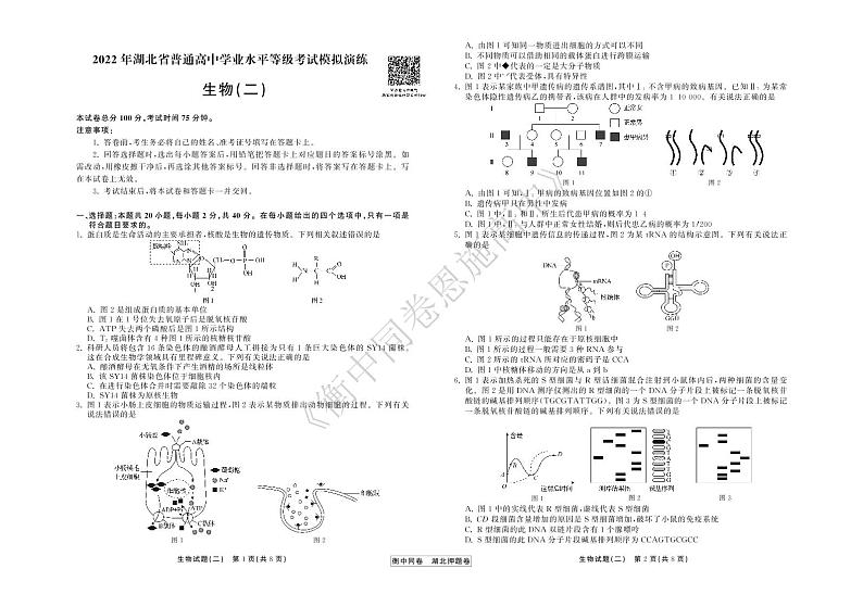 2022年湖北省普通高中学业水平等级考试模拟演练（二）生物试卷第1页