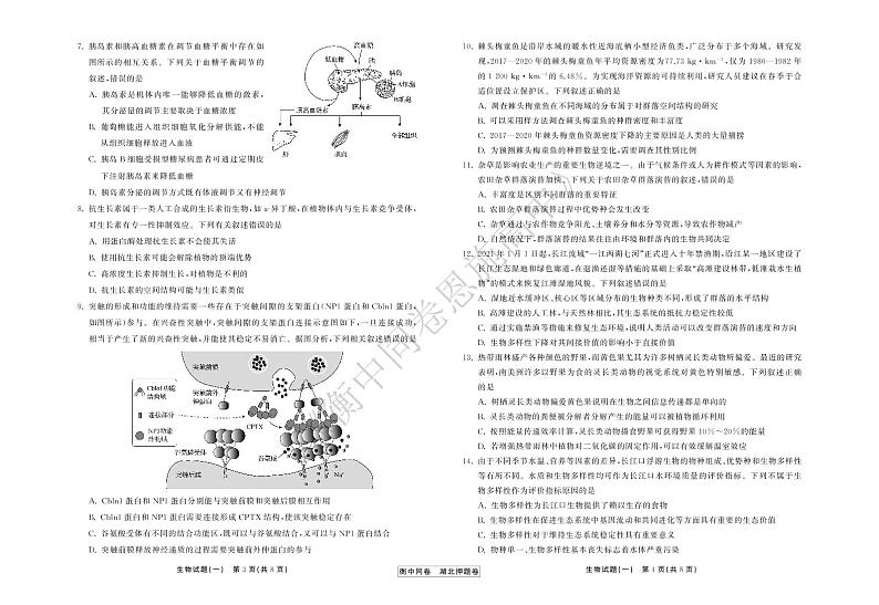 2022年湖北省普通高中学业水平等级考试模拟演练（一）生物试卷第2页