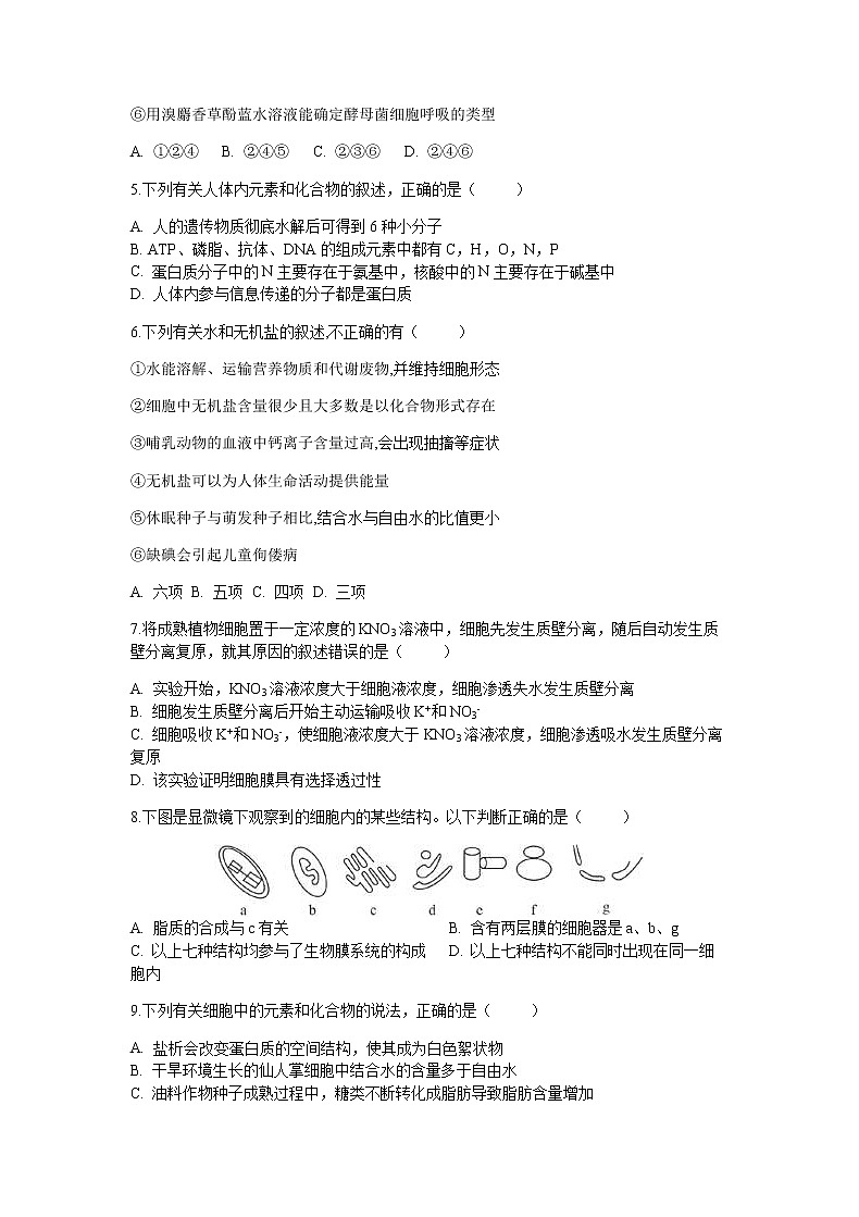 2022重庆市实验中学高三上学期9月开学考试生物试题含答案第2页