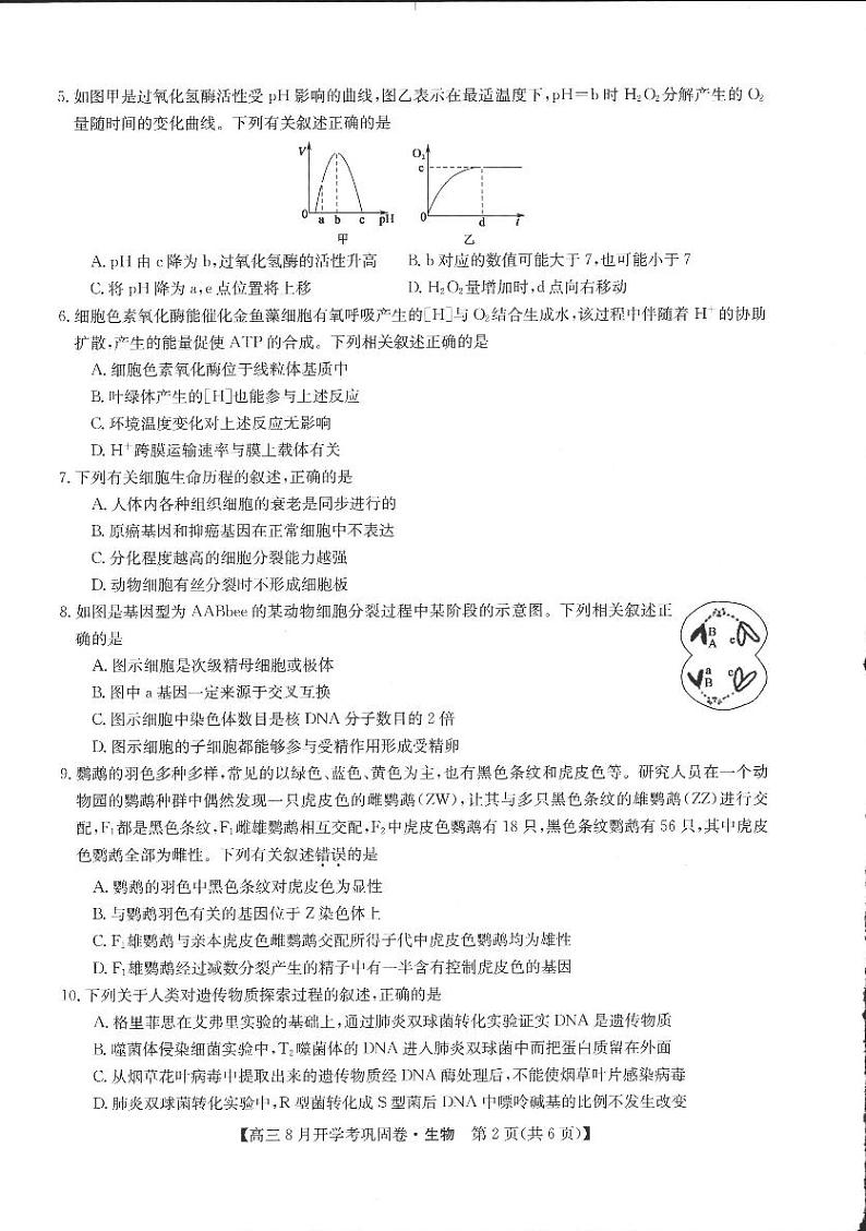 生物试卷第2页