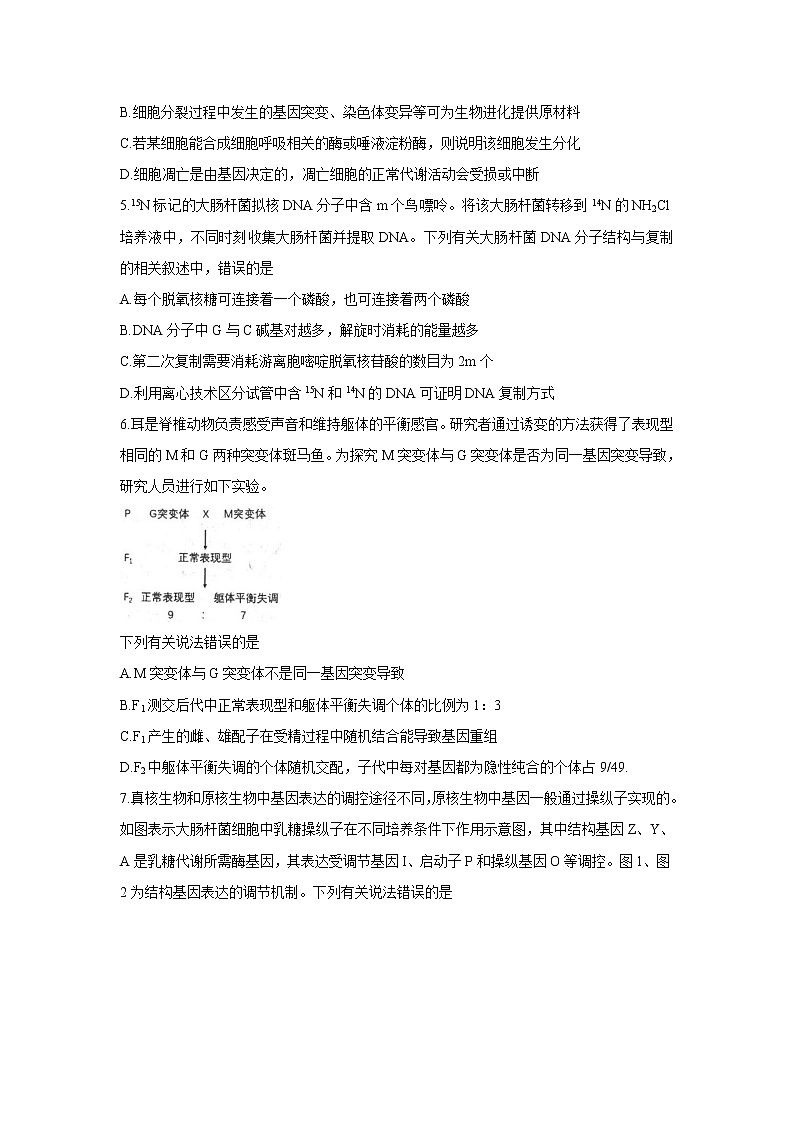 2022唐山高三上学期开学摸底演练生物含答案第2页