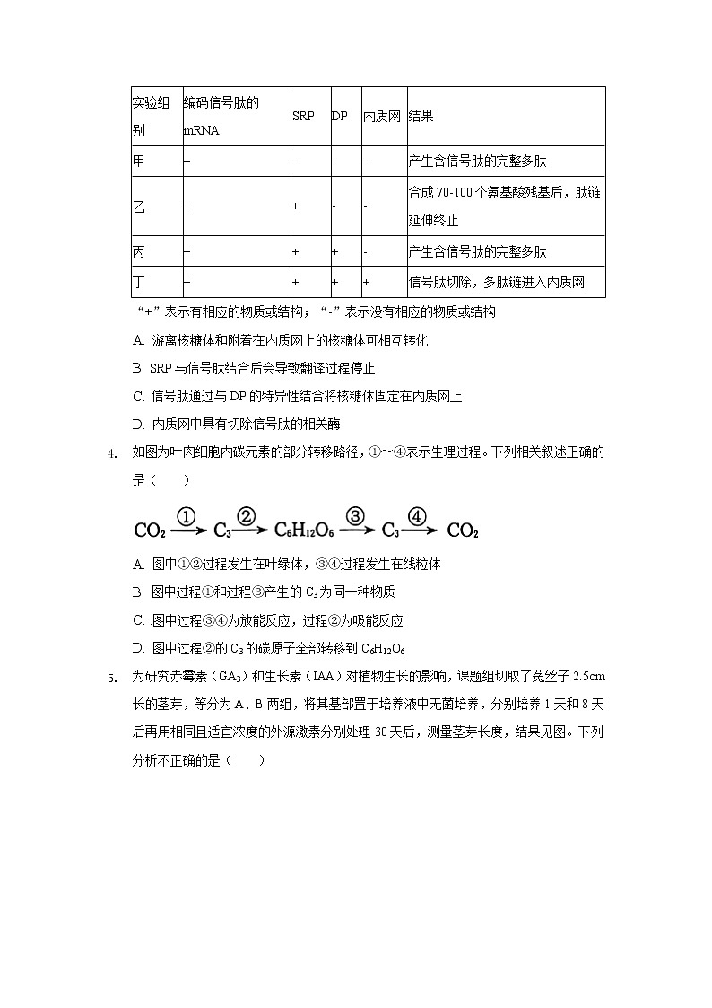 2022滁州四中高三上学期开学教学质量检测生物试题含答案第2页