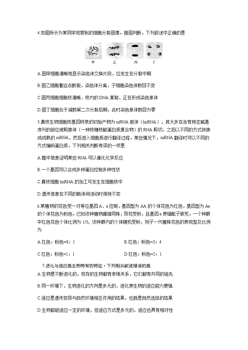 2021河北省正定中学高三下学期开学考试生物试题含答案第2页