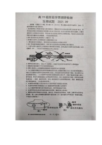 2022临沂临沭一中高三上学期9月开学检测生物试题扫描版含答案