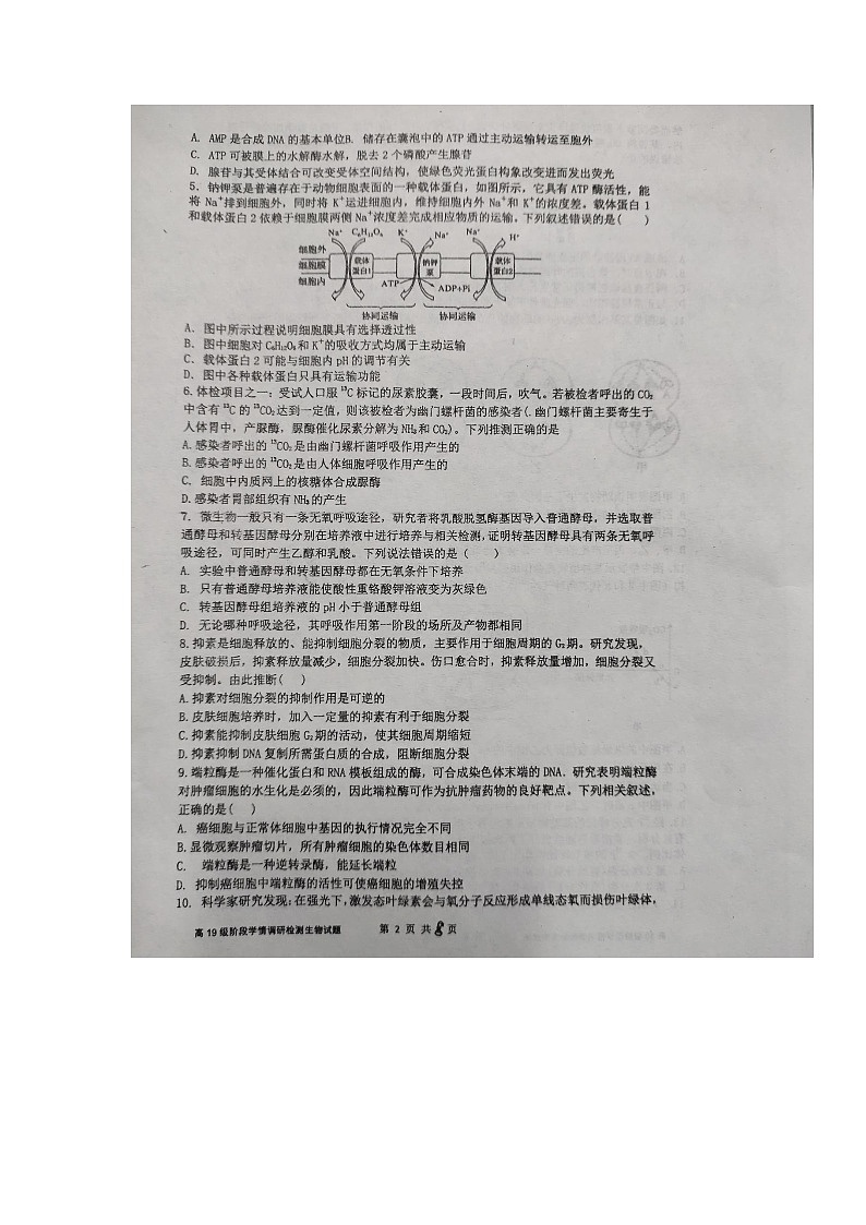 2022临沂临沭一中高三上学期9月开学检测生物试题扫描版含答案第2页