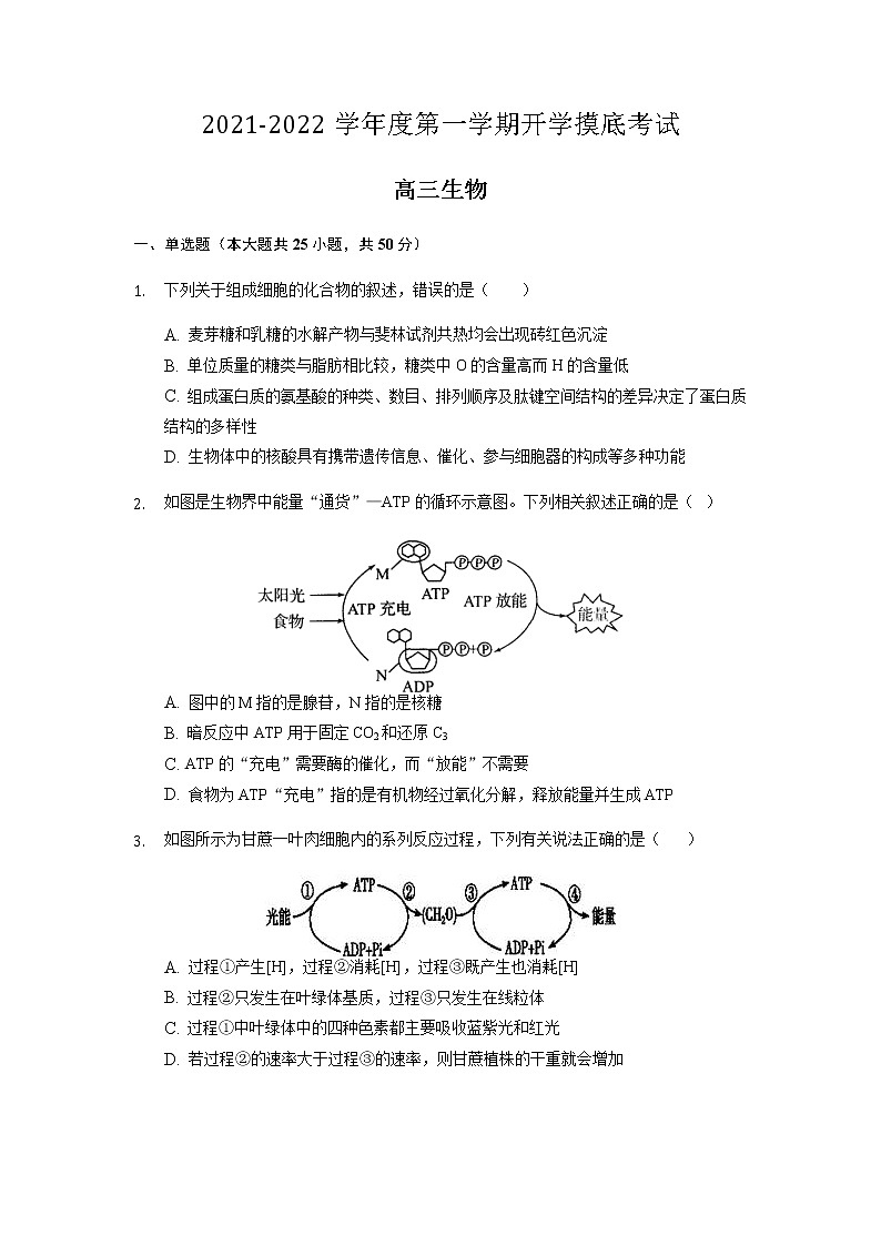 2022滁州定远育才学校高三上学期开学摸底考试生物试题含答案第1页