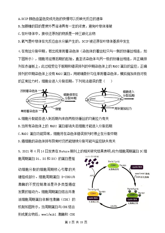 2022济南历城二中高三上学期开学考试（B）生物试题含答案第3页