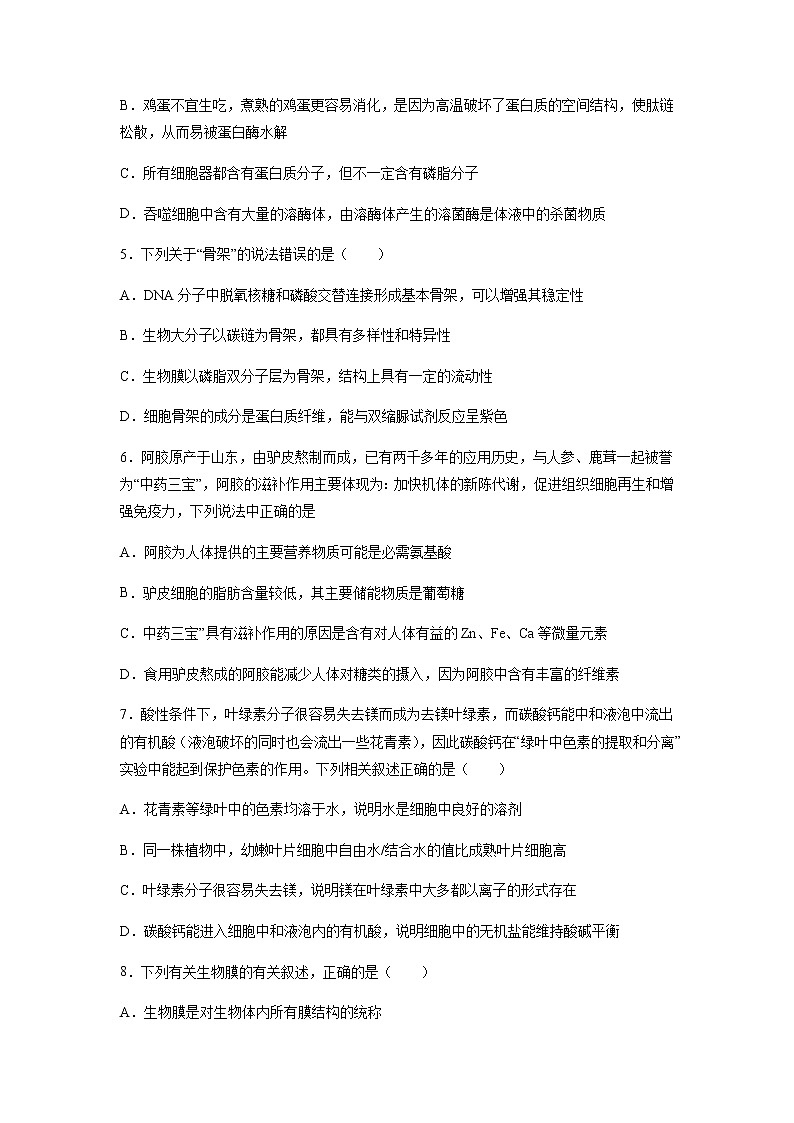 2022重庆实验外国语学校高三上学期开学考试生物试题含答案第2页