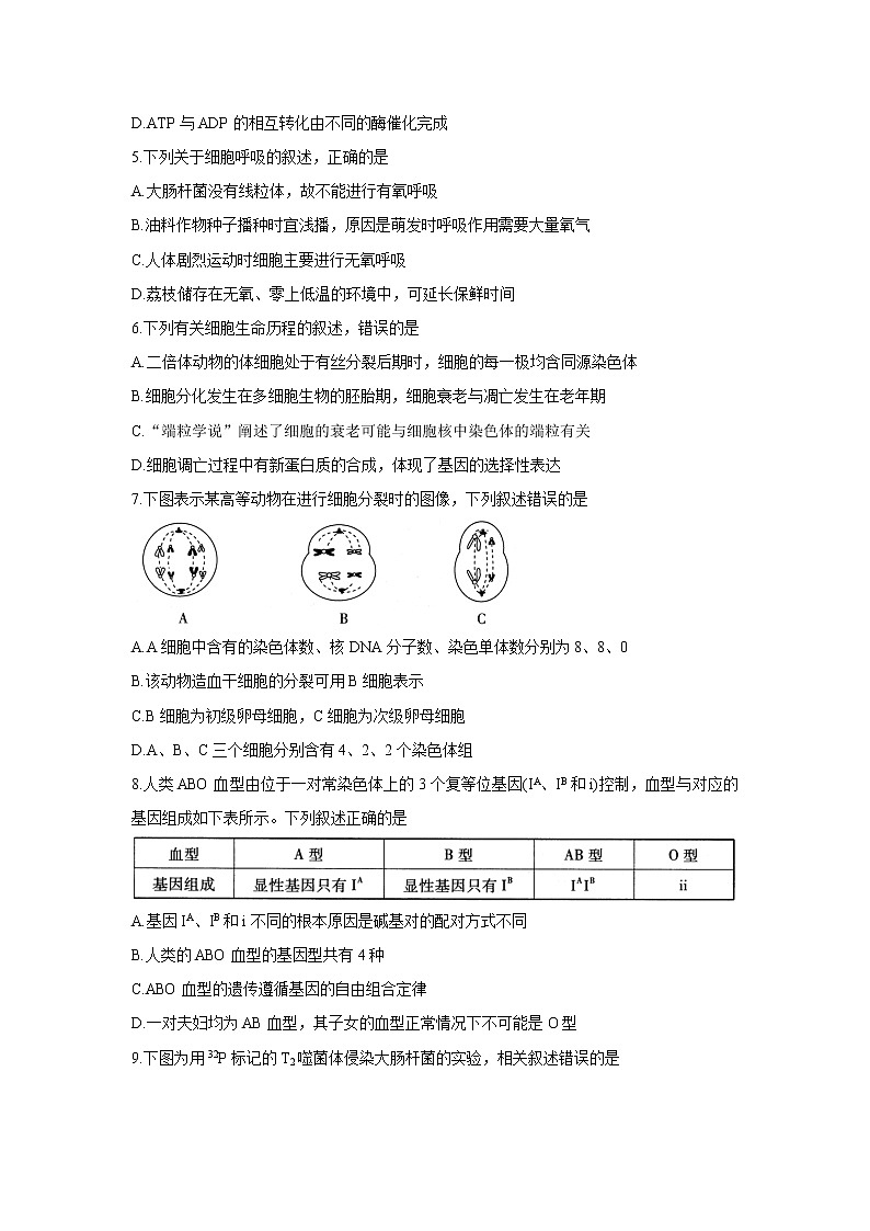 2022大同灵丘县高三上学期8月开学摸底联考生物含答案第2页