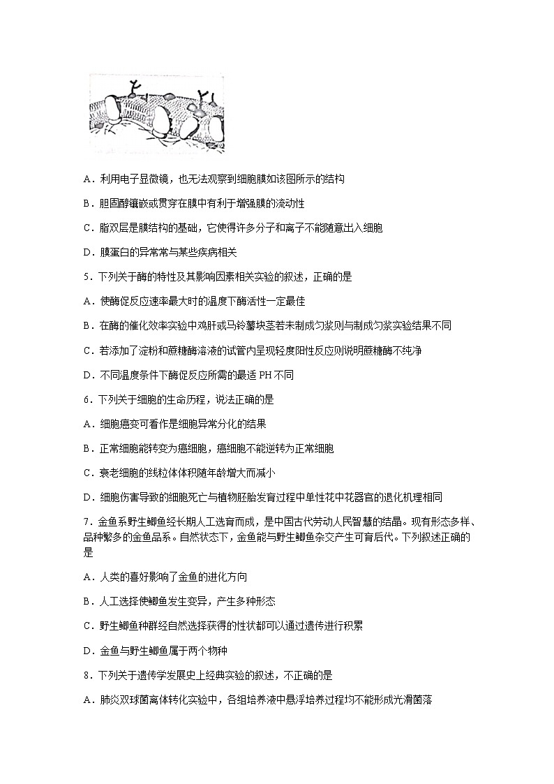 2022浙江省“山水联盟”高三上学期开学联考生物试题含答案02