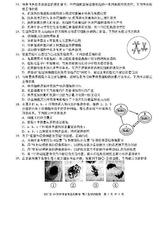 2022浙江省A9协作体高三上学期暑假返校联考生物试题PDF版含答案03