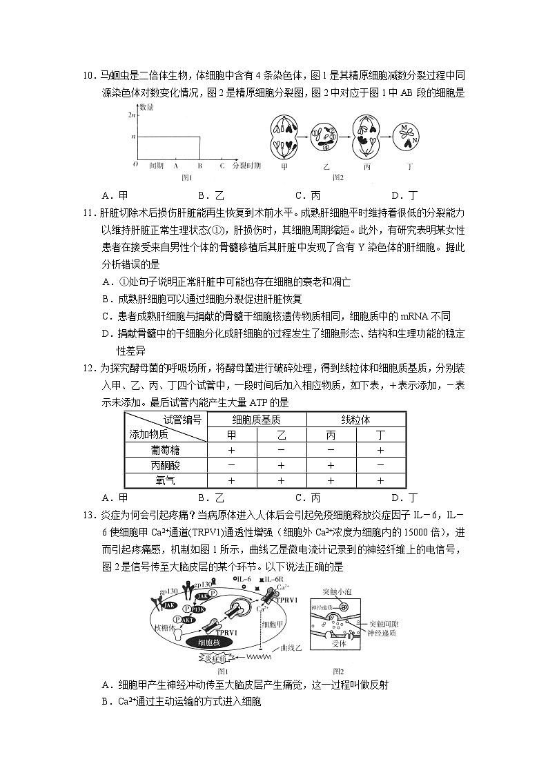 2022广东省高三上学期开学阶段性质量检测生物试题含答案03