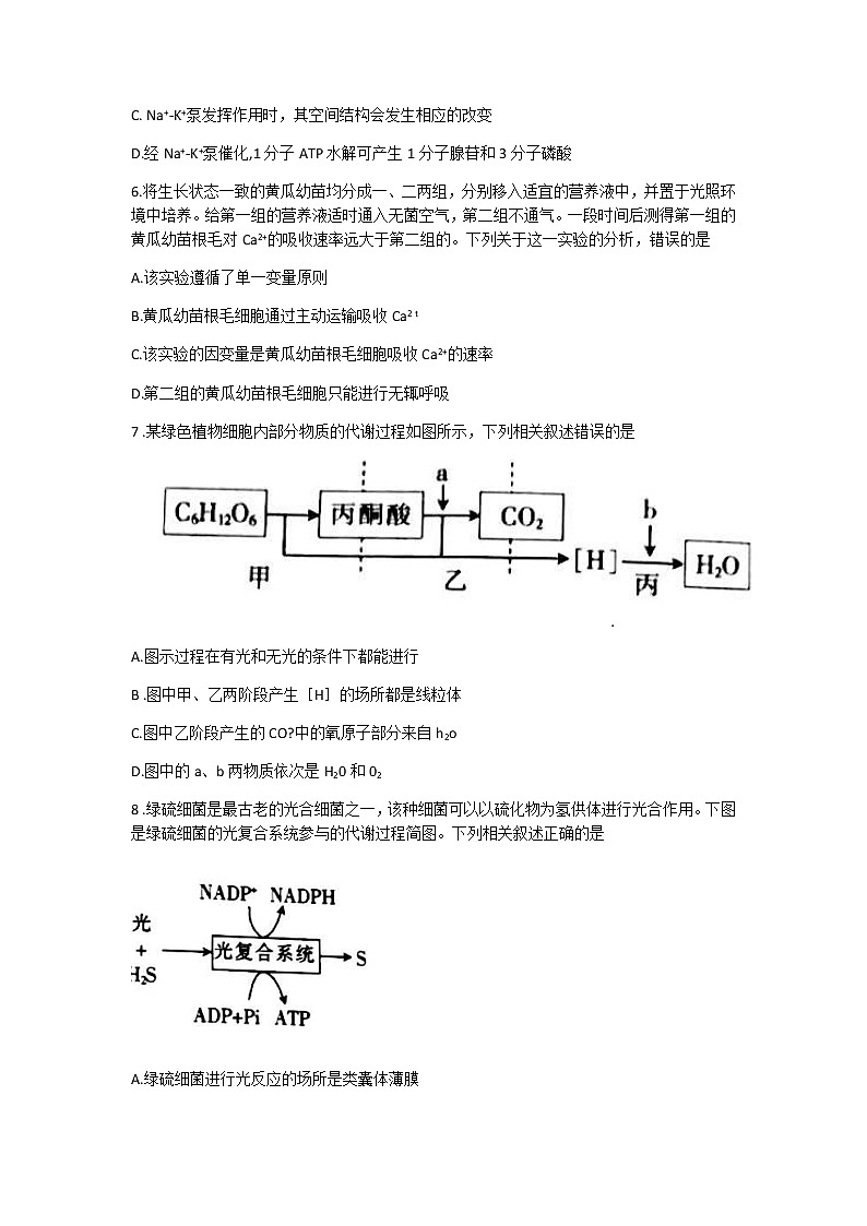 2022靖远县高三上学期开学考试生物试题含答案第2页