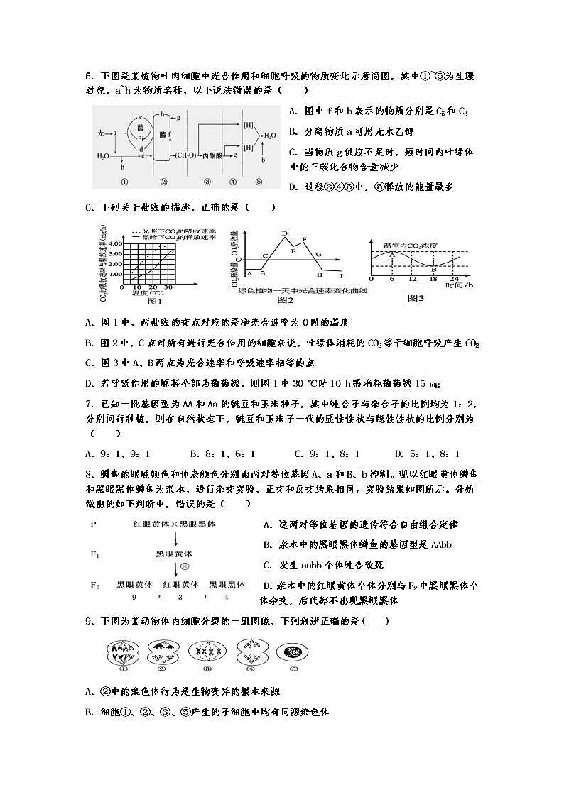 2022青铜峡高级中学高三上学期开学考试生物试题含答案第2页