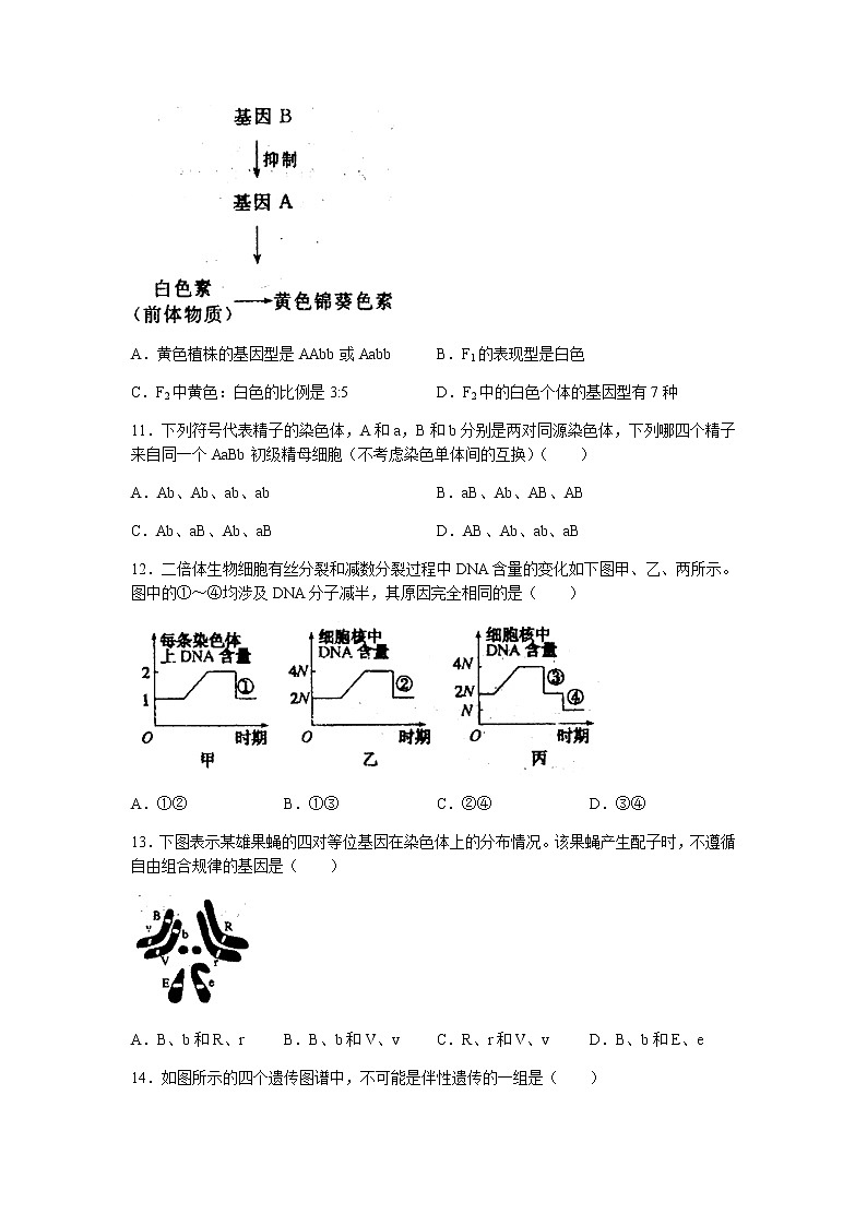 2022安徽省泗县一中高二上学期开学考试生物试题含答案第3页