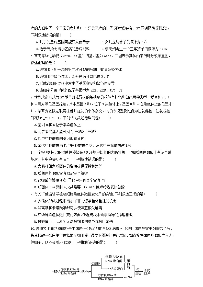 2022庄河高级中学高二上学期开学考试生物试题缺答案第2页