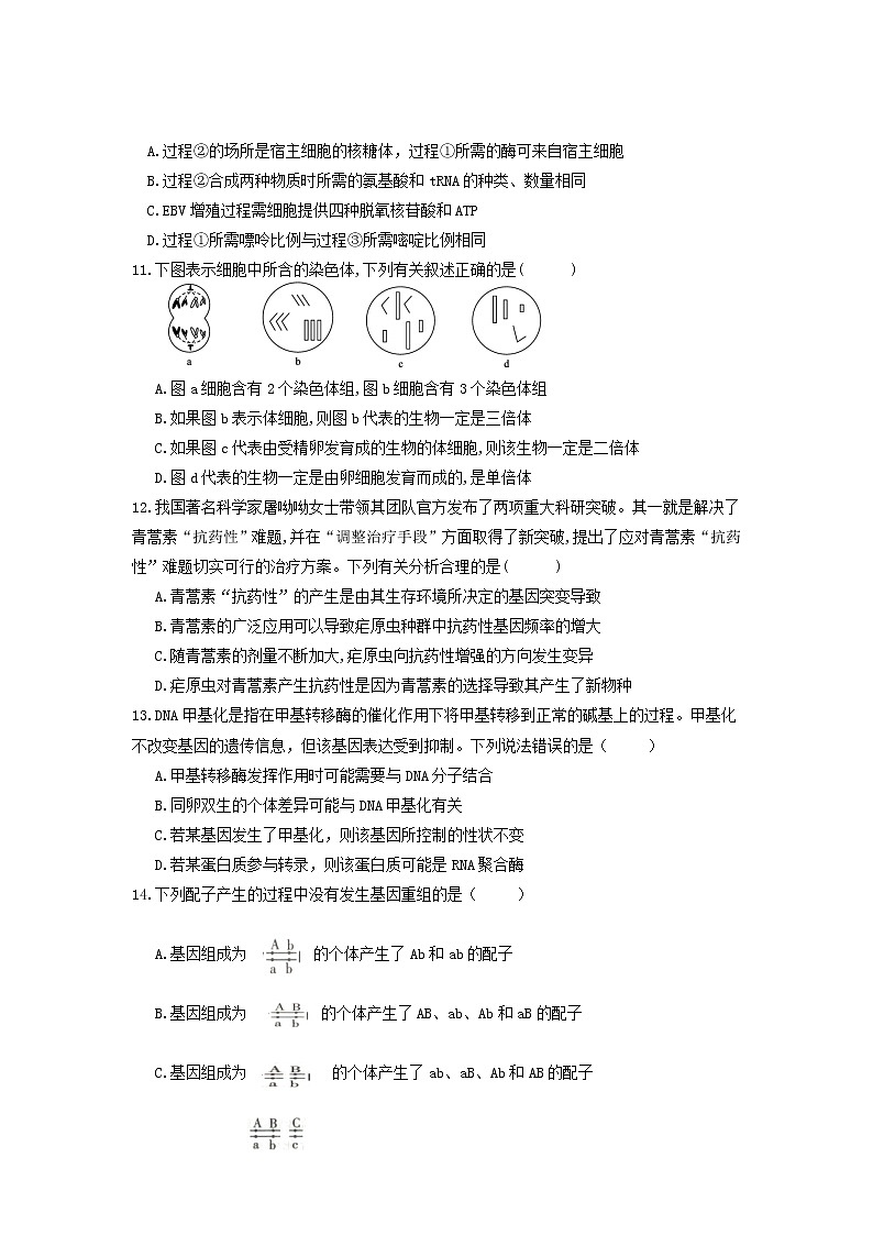2022庄河高级中学高二上学期开学考试生物试题缺答案第3页