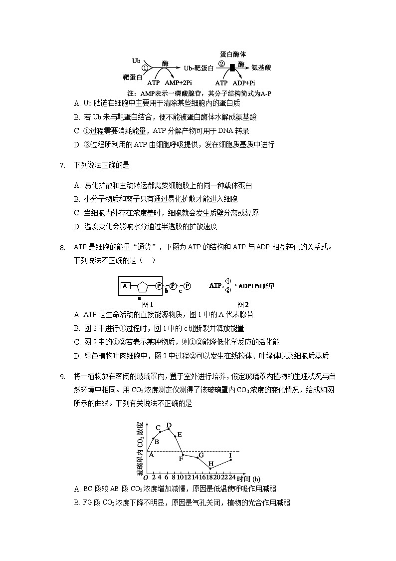 2022滁州定远育才学校高二上学期开学摸底考试生物试题含答案第3页