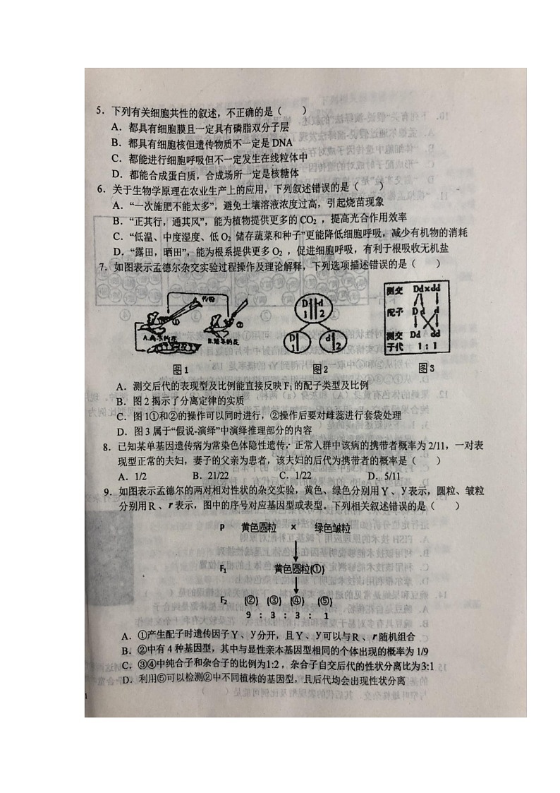 2022六安一中高二上学期开学考试生物试题扫描版含答案第2页