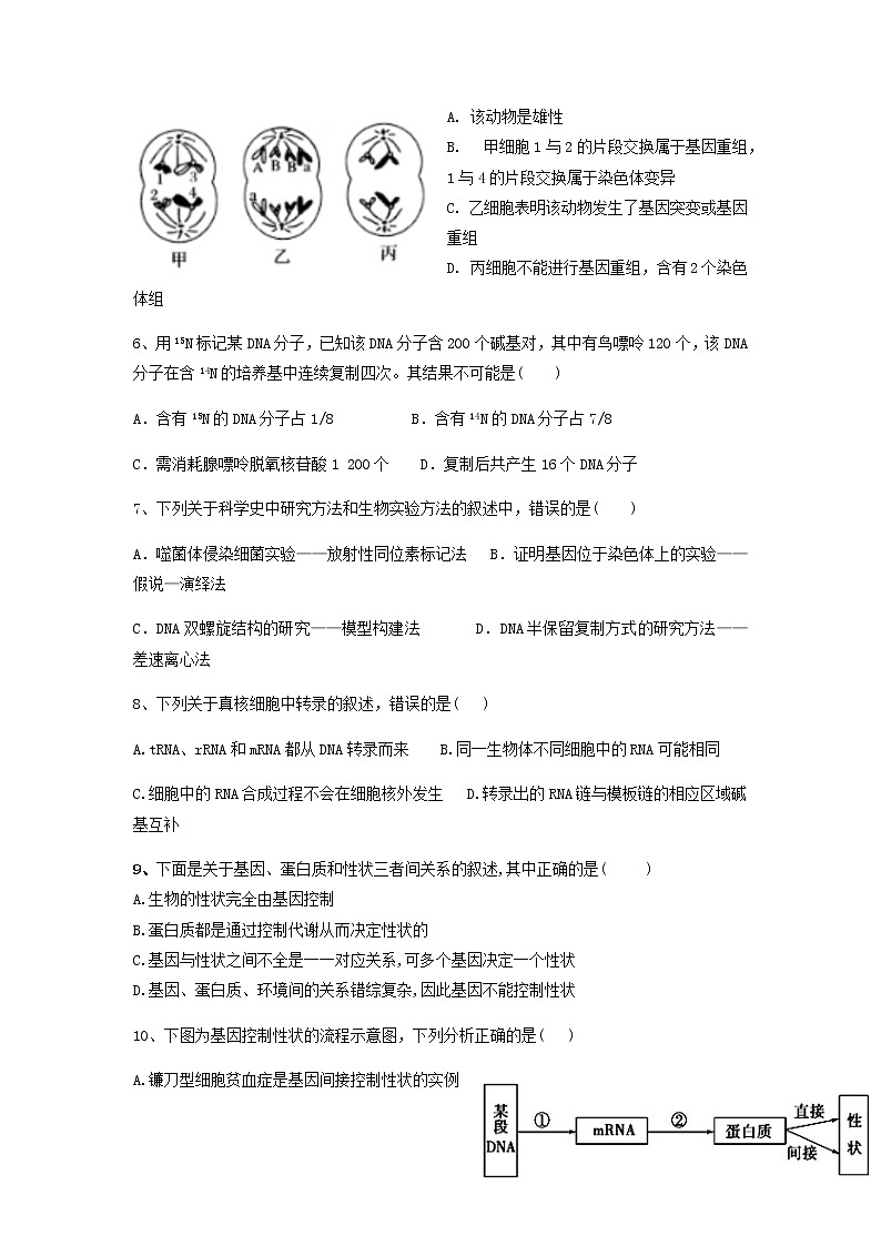 2022辽宁省辽河油田二中高二上学期开学考试生物试题含答案第2页