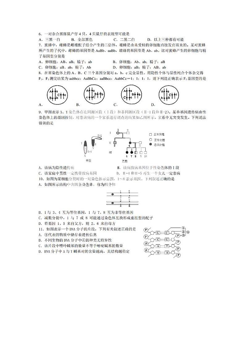 2022省哈尔滨师大附中高二上学期开学考试生物试题PDF版含答案第2页