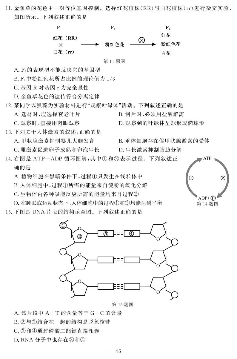 2019浙江省6月普通高中学业水平考试生物PDF版含答案第3页