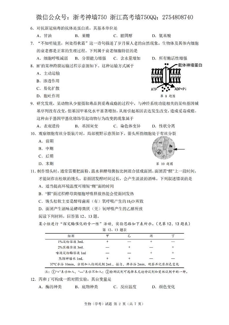 2021浙江省7月学考真题生物pdf版含答案第2页