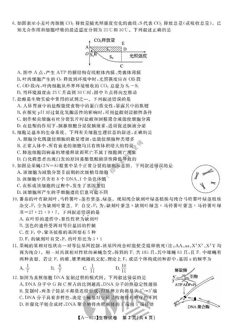 2023届高三第一次联考生物试题第2页