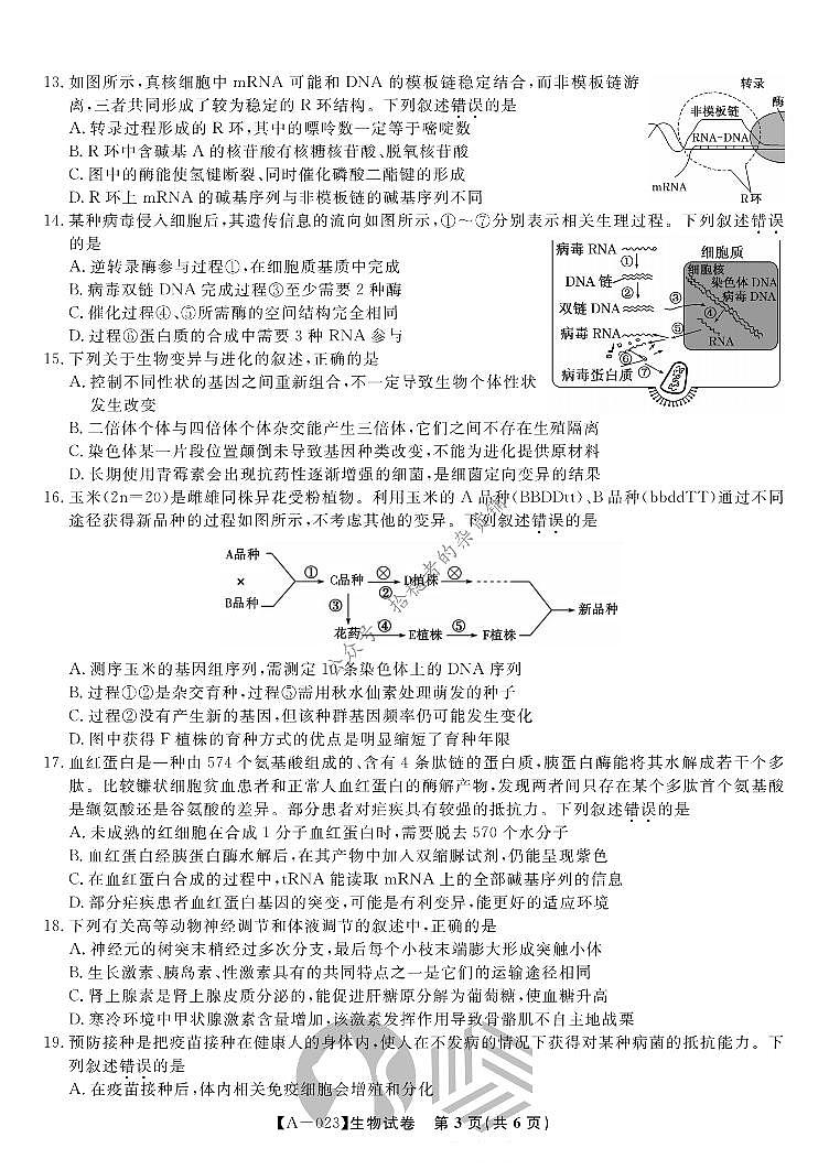 2023届高三第一次联考生物试题第3页