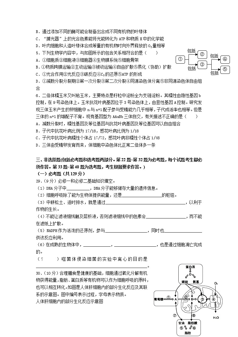 2023信阳高级中学高三上学期开学考试生物试题含答案02