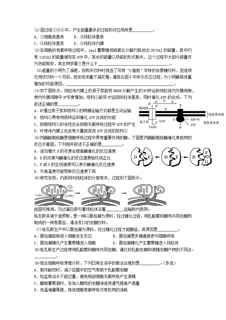 2023信阳高级中学高三上学期开学考试生物试题含答案03