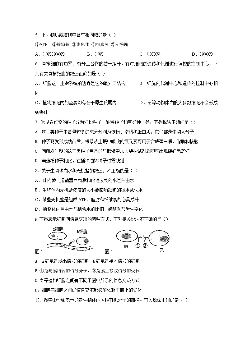 黑龙江省双鸭山市第一中学2022-2023学年高三上学期开学考试生物试题第2页