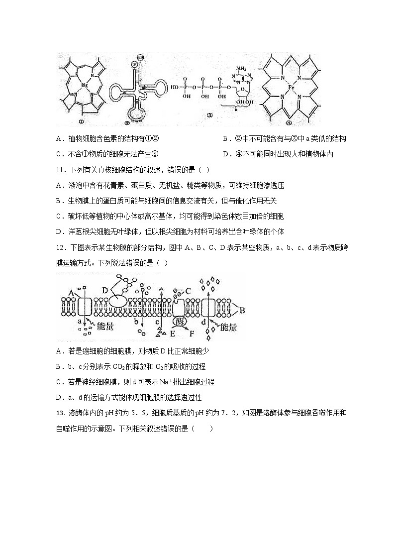 黑龙江省双鸭山市第一中学2022-2023学年高三上学期开学考试生物试题第3页