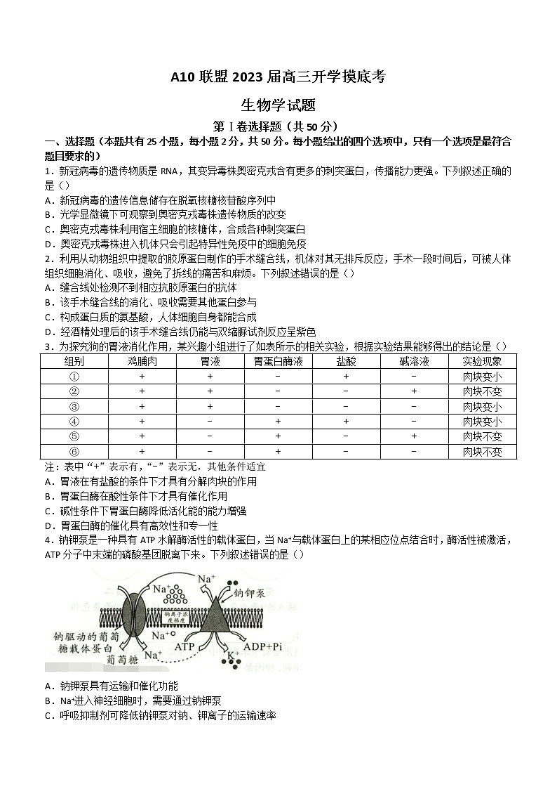2023安徽省A10联盟高三上学期开学考试生物含解析第1页