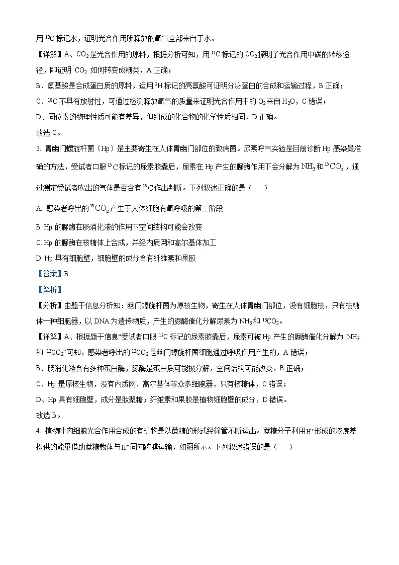 精品解析：山东省临沂市兰山区2021-2022学年高三上学期开学考试生物试题（解析版）第2页