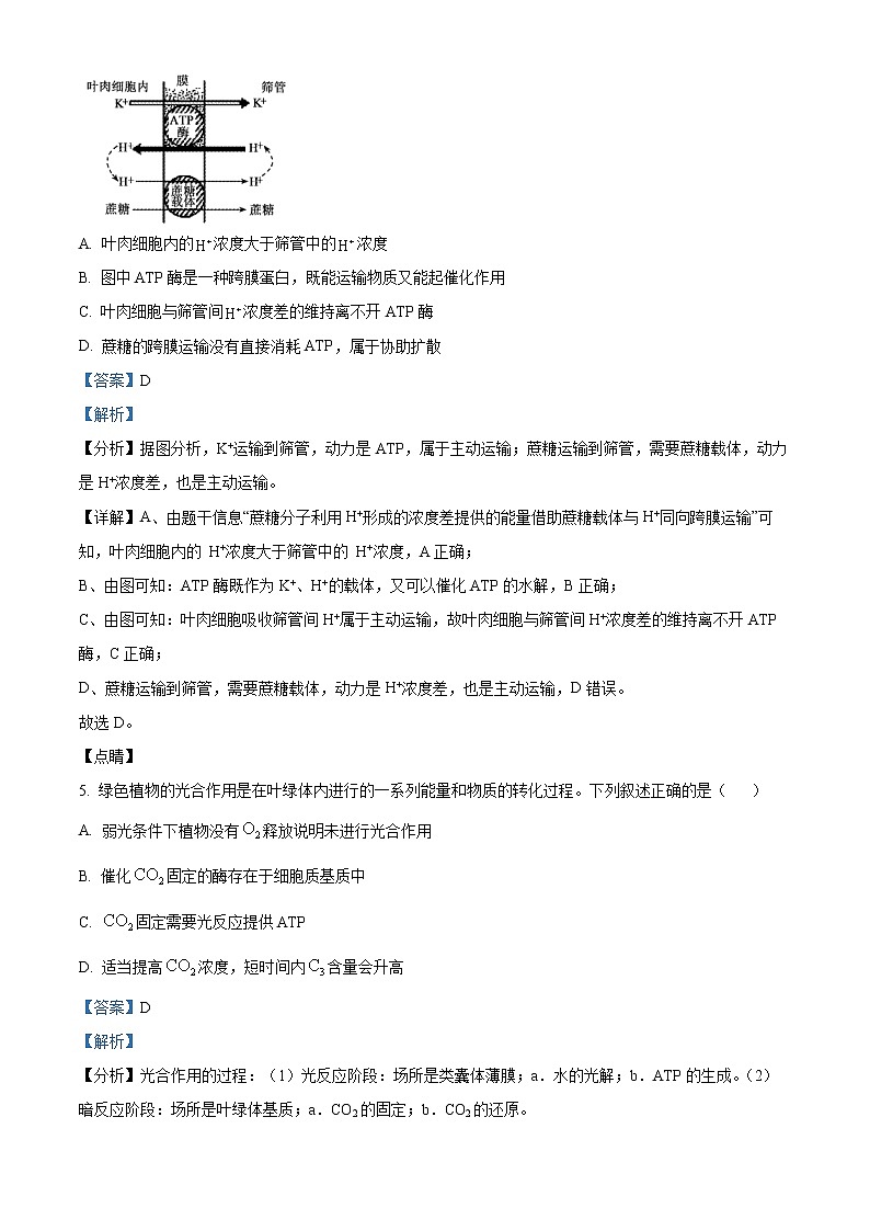 精品解析：山东省临沂市兰山区2021-2022学年高三上学期开学考试生物试题（解析版）第3页
