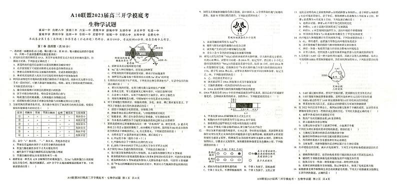 安徽省A10联盟2022-2023学年高三上学期开学考试生物试题第1页